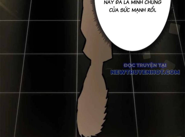 Lượng Mana Đáy Xã Hội! Ta Vô Địch Nhờ Kỹ Năng Của Mình - Page 71