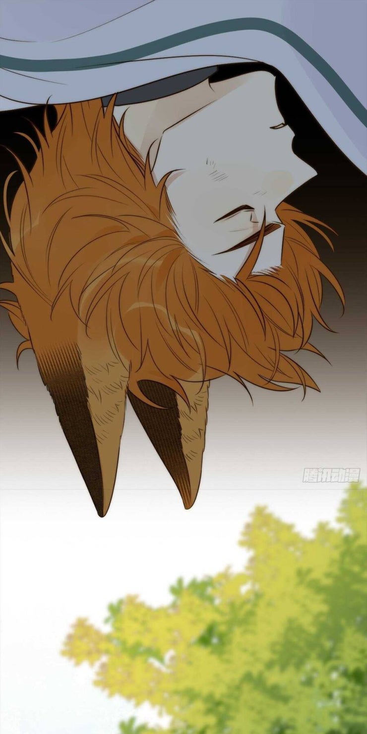 Chỉ Riêng Đuôi Là Không Được!!! - Page 33