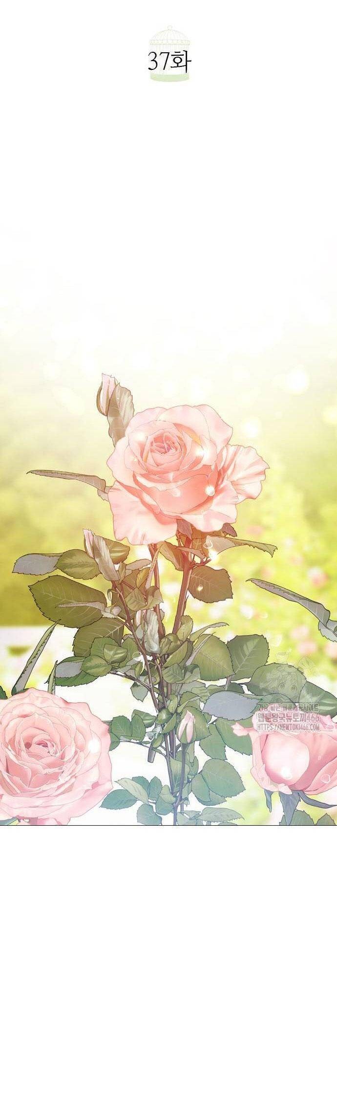 Hãy Khóc Và Cầu Nguyện Đi - Page 17