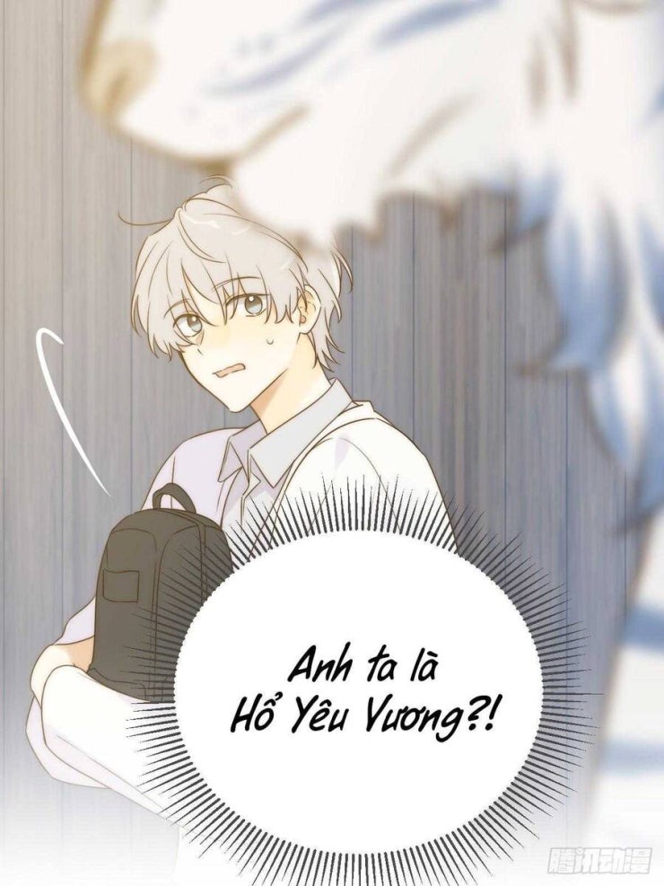 Chỉ Riêng Đuôi Là Không Được!!! - Page 51