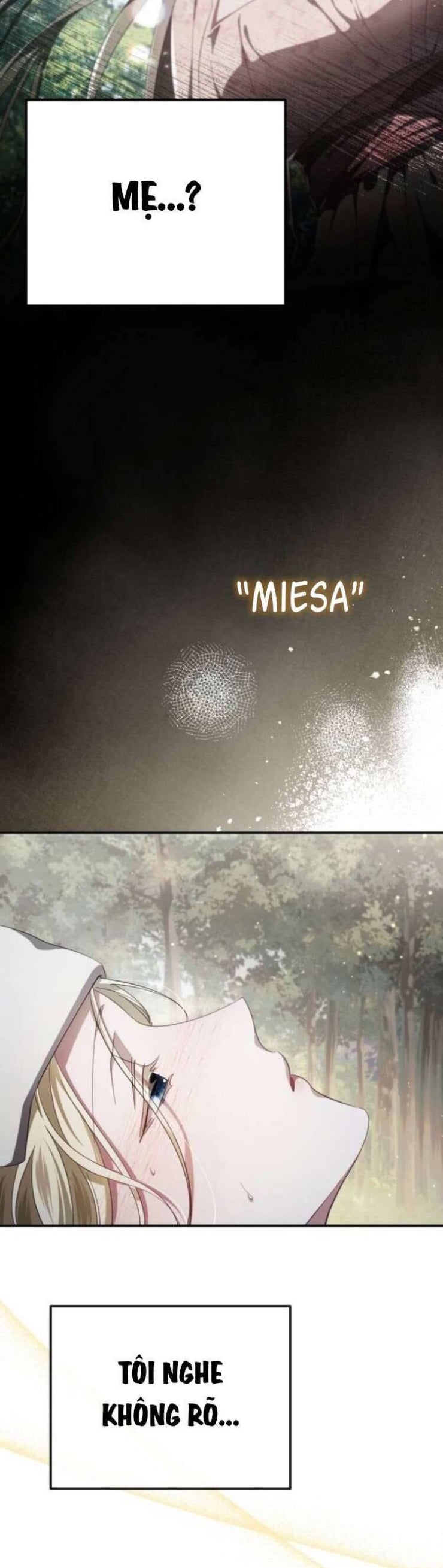 Đằng Sau Nụ Cười Của Nàng Công Chúa - Page 18