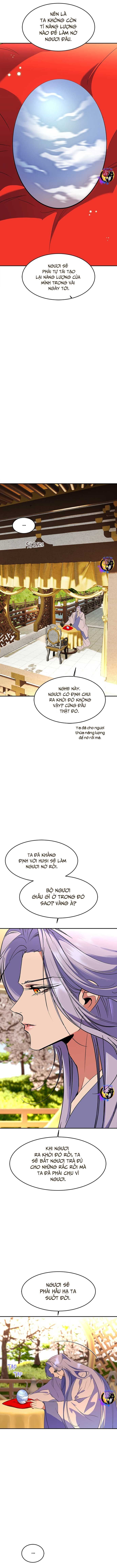 Chiến Lược Săn Hổ Của Nữ Thần - Page 13