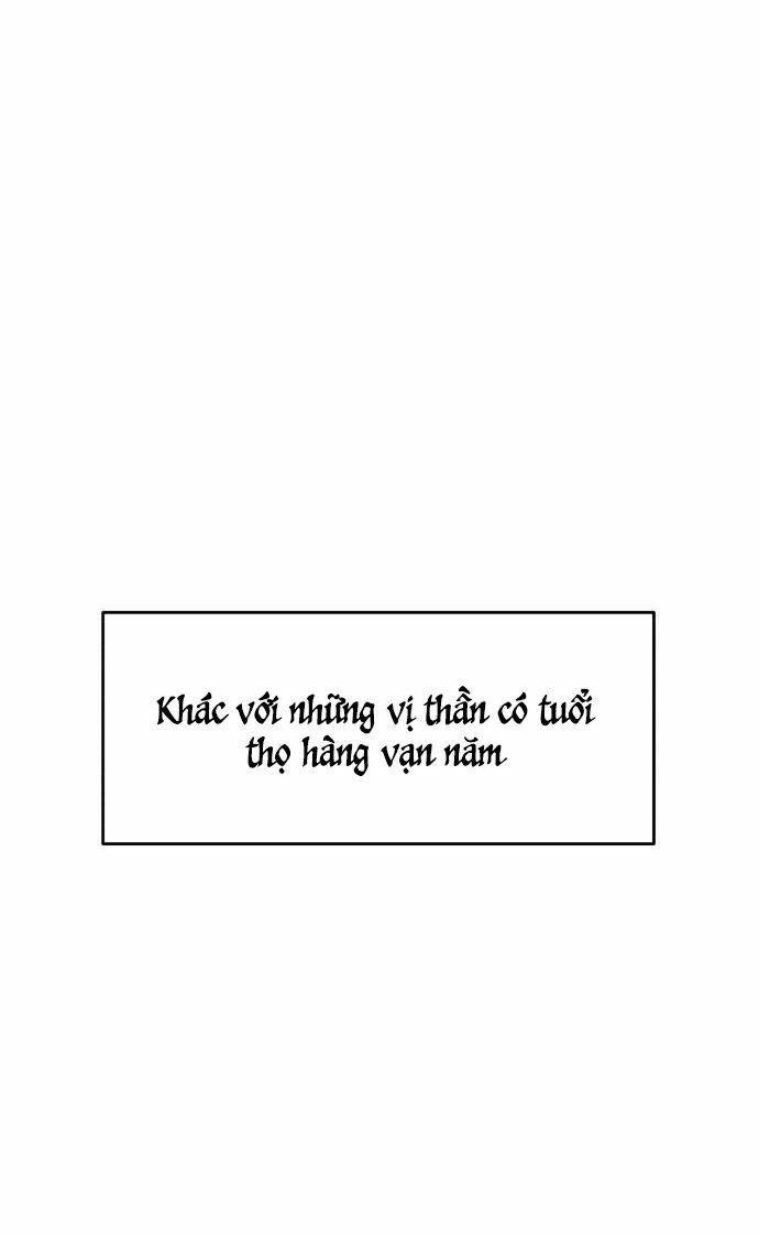 Chiến Lược Săn Hổ Của Nữ Thần - Page 37