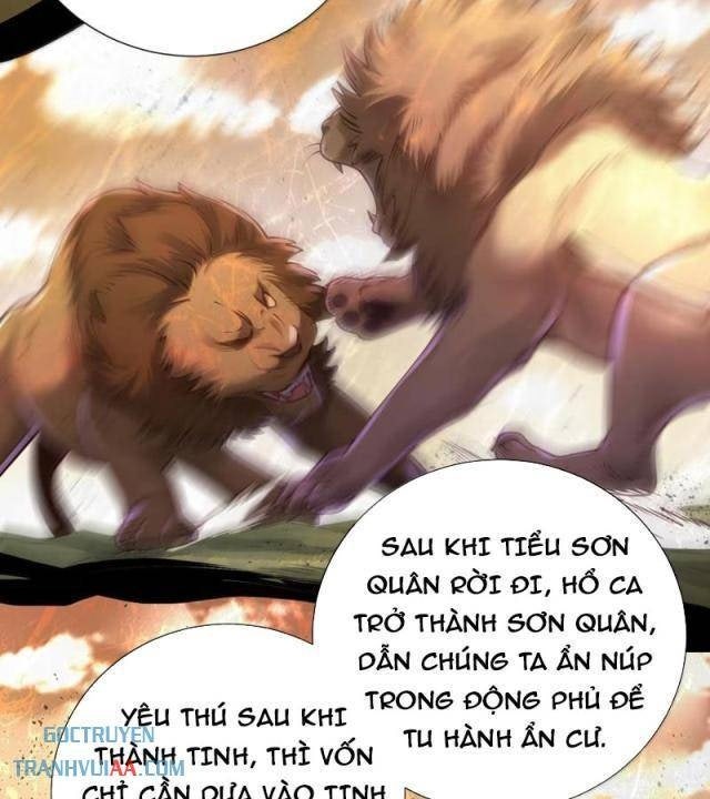 Bói Toán Mà Thôi, Cửu Vĩ Yêu Đế Sao Lại Thành Nương Tử Ta?! - Page 24