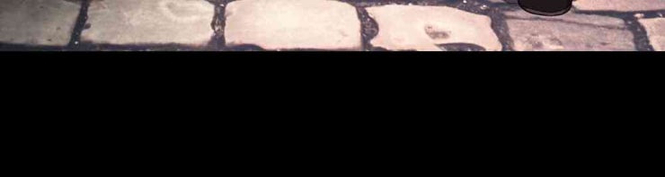 Trò Chơi Sinh Mệnh - Page 35