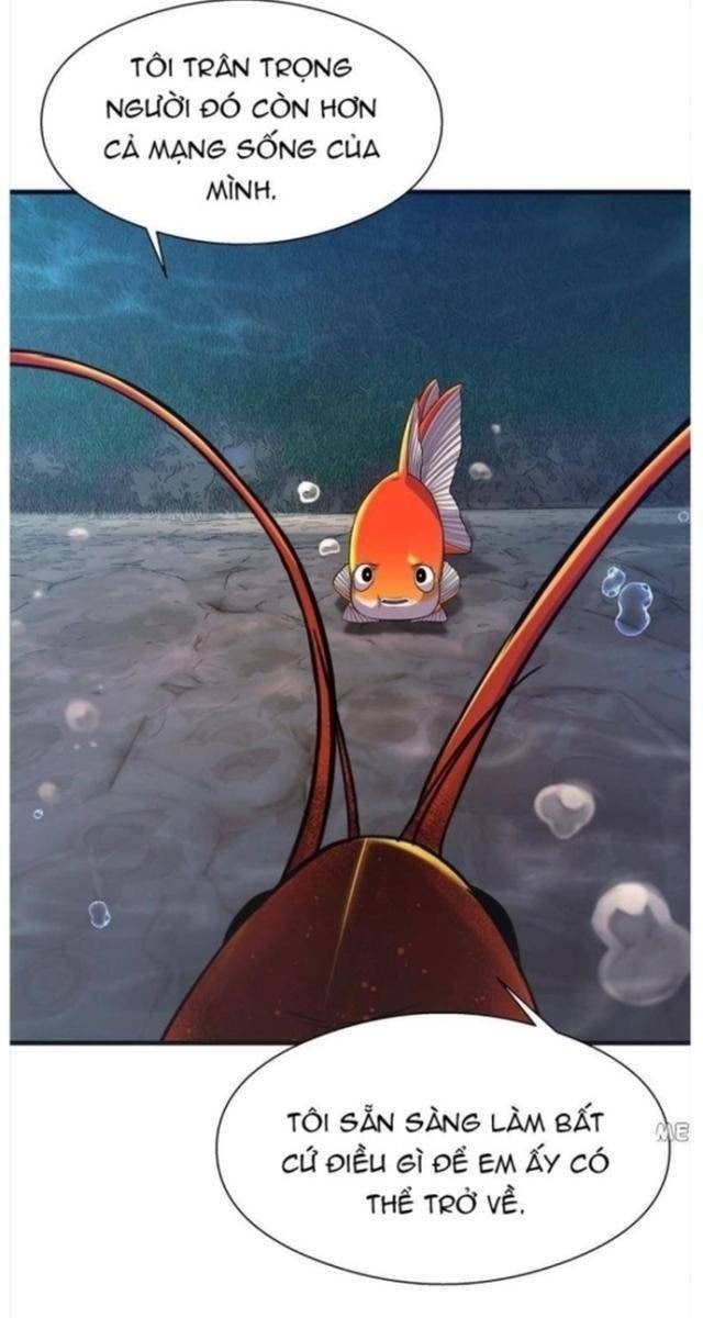 Hoá Thân Thành Cá - Page 51