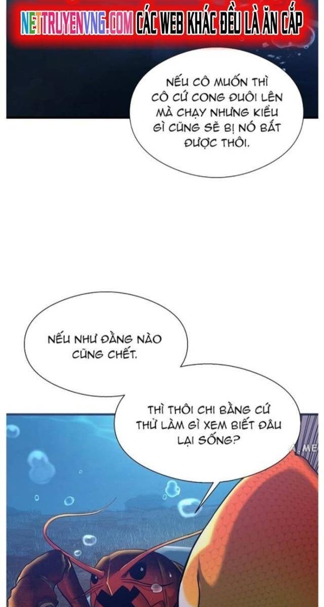 Hoá Thân Thành Cá - Page 16