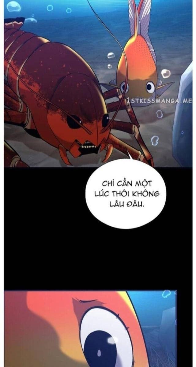 Hoá Thân Thành Cá - Page 48