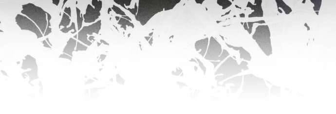 Lời Thú Nhận Của Chúa Tể Bóng Tối - Page 45