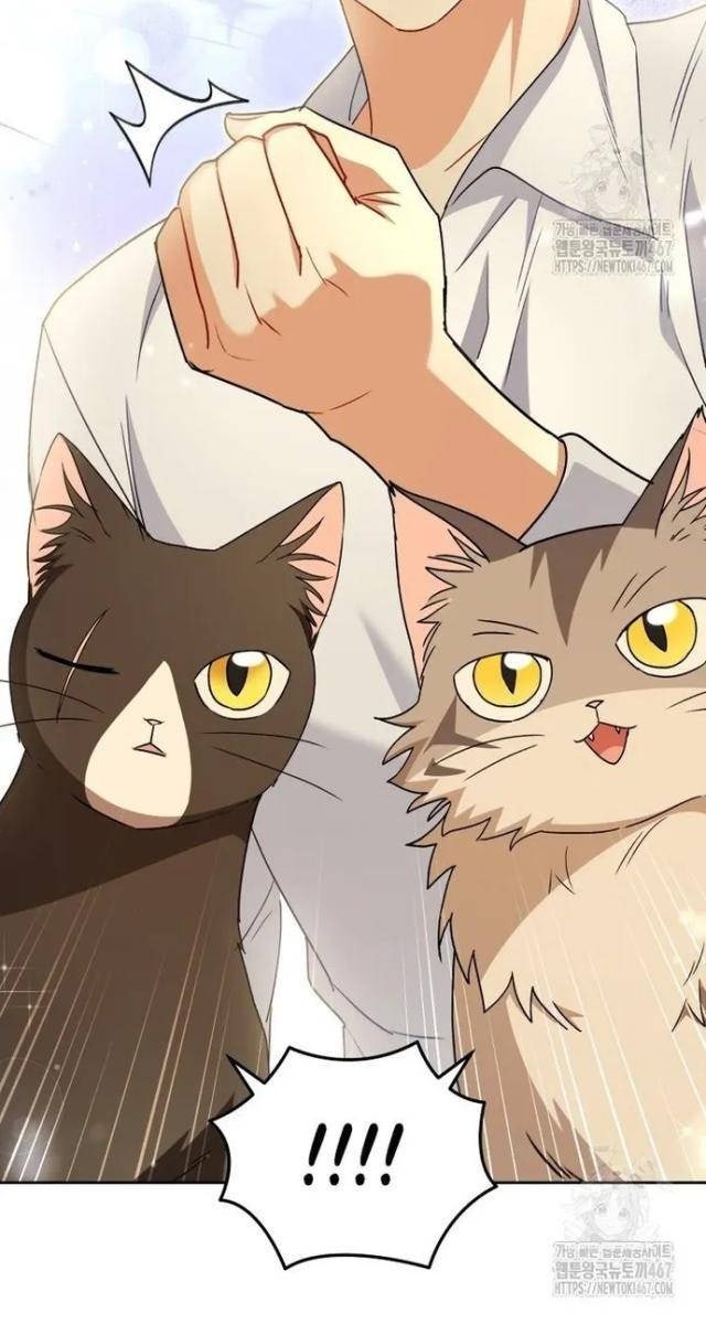 Xin Chào! Bác Sĩ Thú Y - Page 36