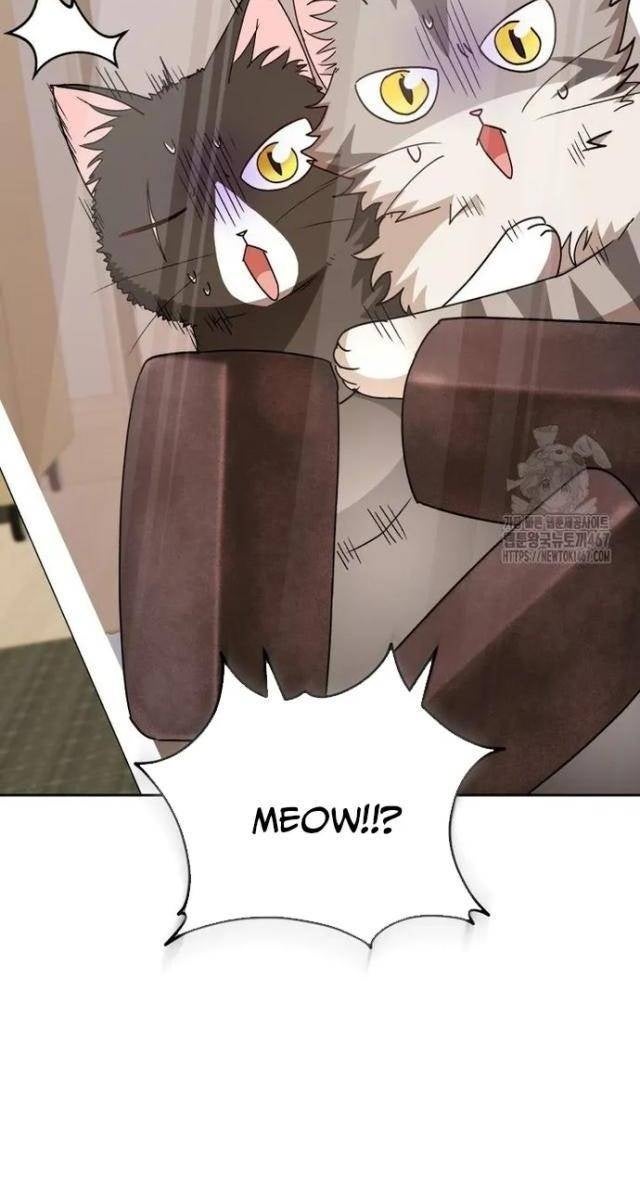 Xin Chào! Bác Sĩ Thú Y - Page 16