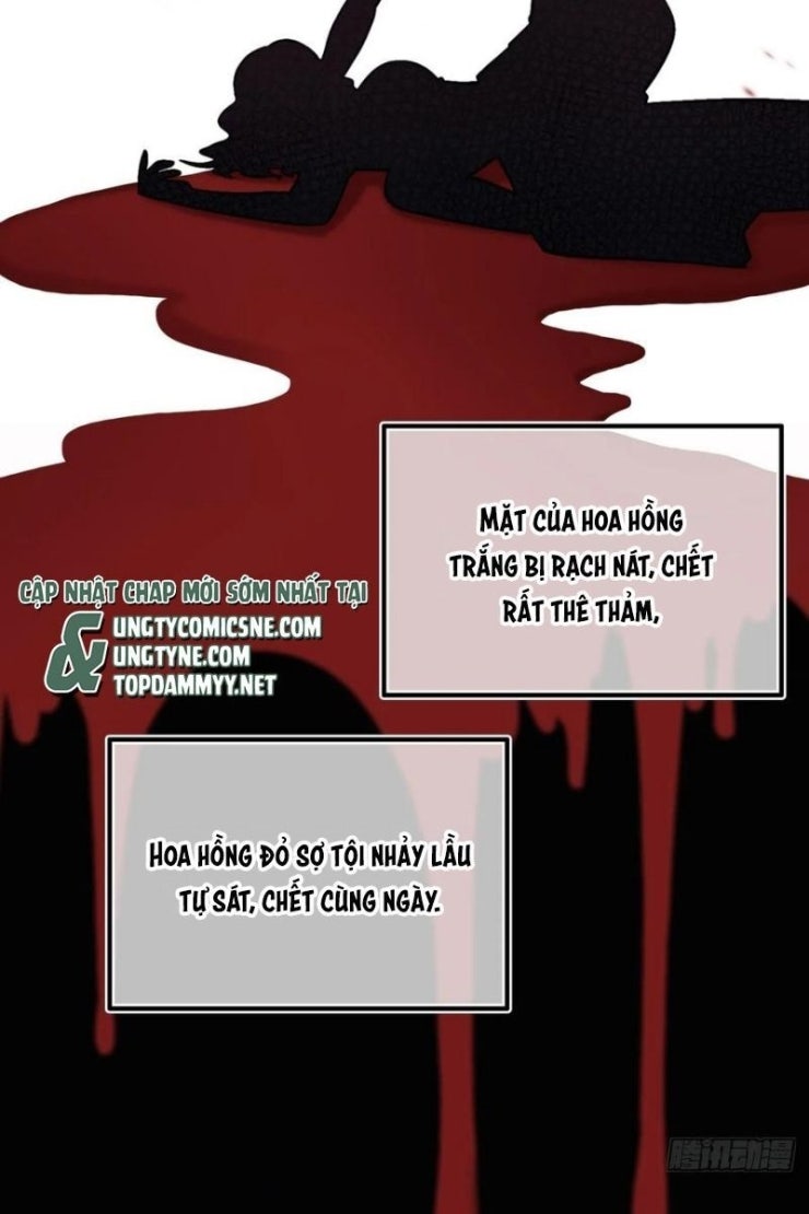 Anh Ấy Chưa Từng Rơi Xuống - Page 26