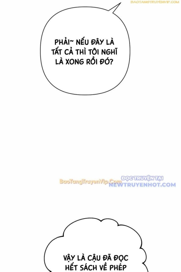 Đại Pháp Sư Thần Thoại Tái Lâm - Page 13