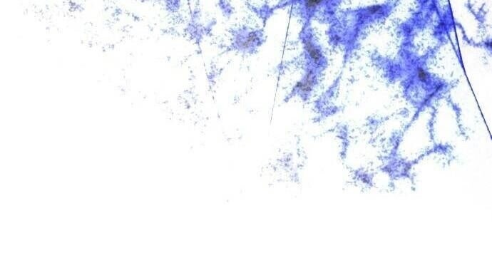 Hôn Trước Khi Ngủ - Page 143