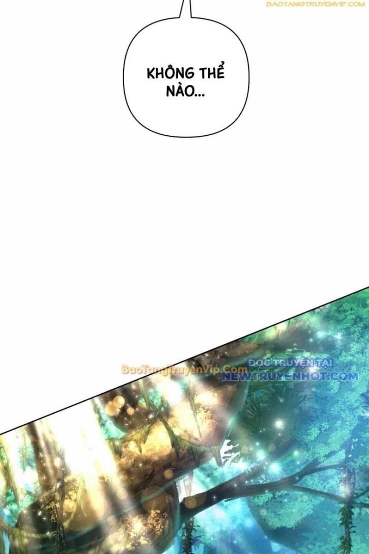 Đại Pháp Sư Thần Thoại Tái Lâm - Page 81