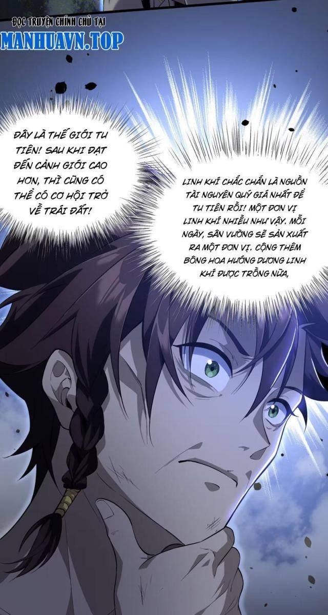 Xuyên Không Đến Thế Giới Tu Chân, Ta Vậy Mà Kích Hoạt Được Hệ Thống Plants vs Zombie - Page 19