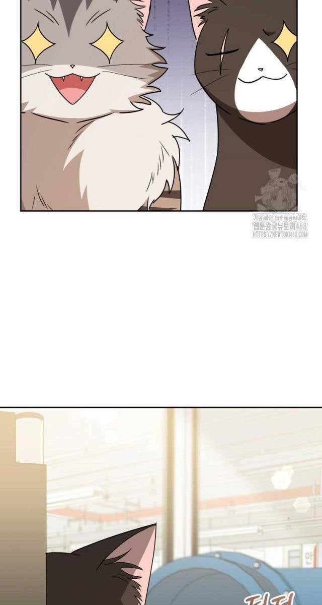 Xin Chào! Bác Sĩ Thú Y - Page 13