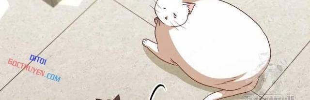 Xin Chào! Bác Sĩ Thú Y - Page 36