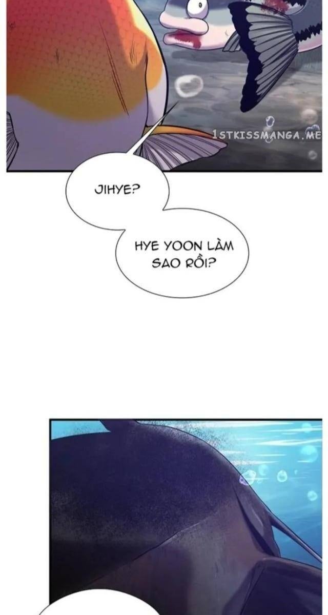 Hoá Thân Thành Cá - Page 73