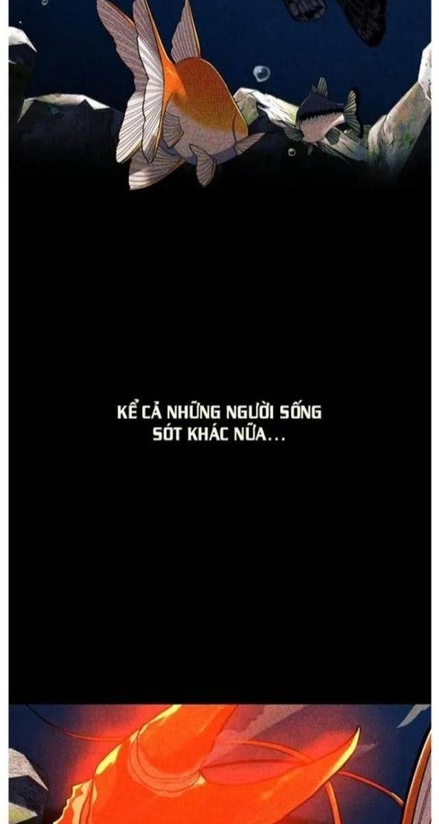 Hoá Thân Thành Cá - Page 69