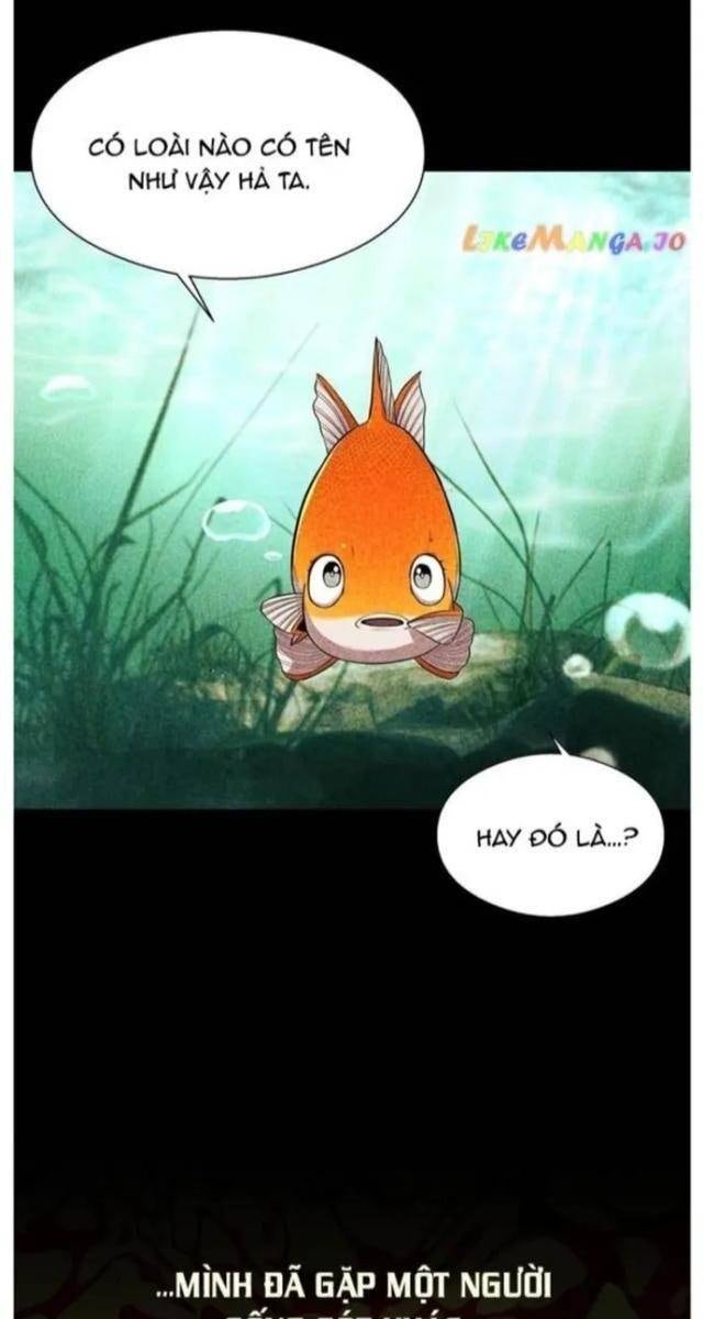 Hoá Thân Thành Cá - Page 40