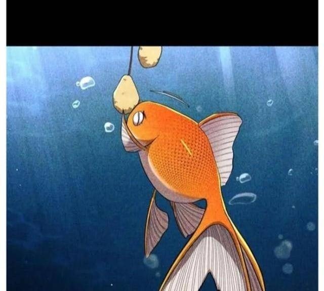 Hoá Thân Thành Cá - Page 65