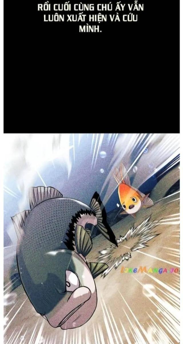 Hoá Thân Thành Cá - Page 77