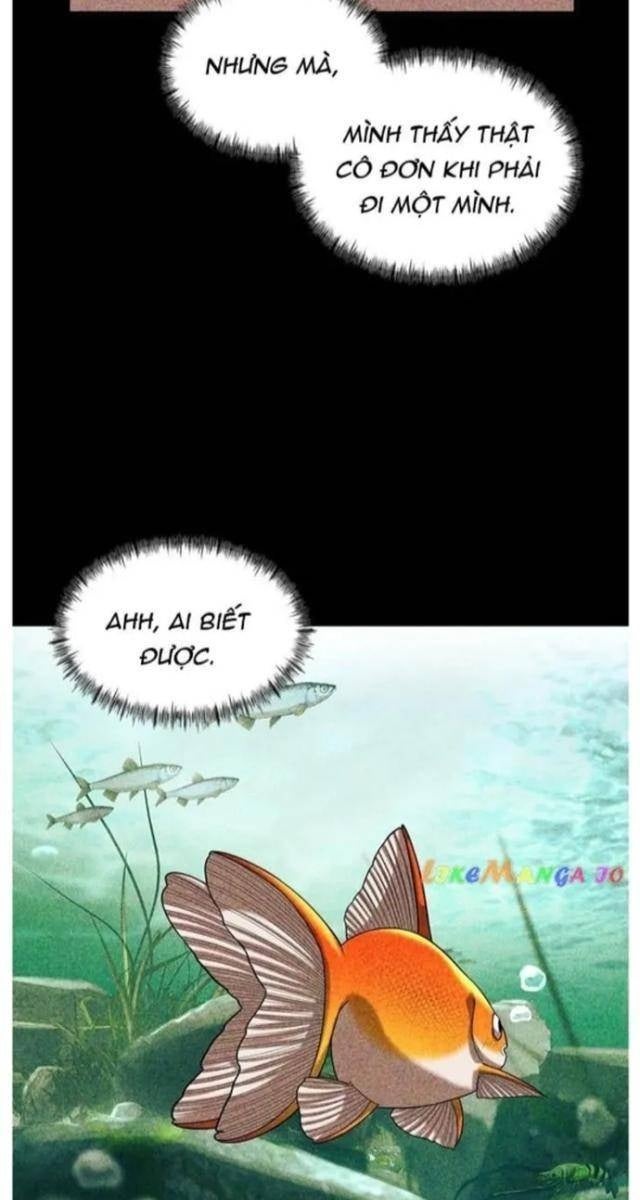 Hoá Thân Thành Cá - Page 45