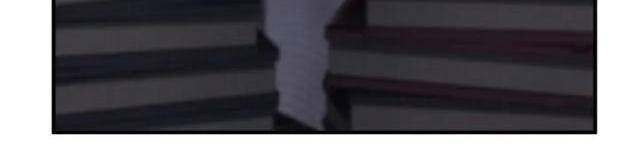 Bản Chất Của Chuyển Sinh - Page 39