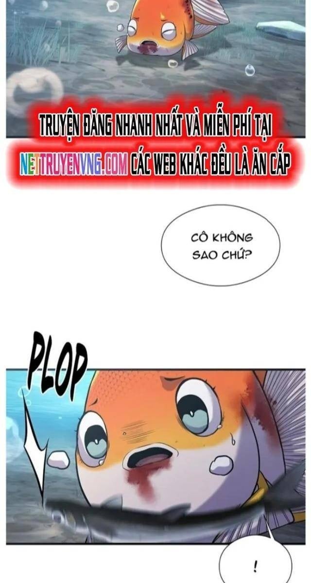 Hoá Thân Thành Cá - Page 40