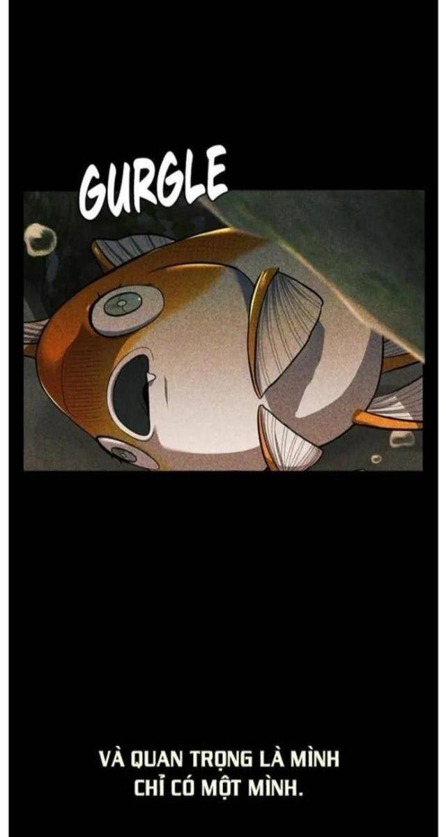 Hoá Thân Thành Cá - Page 36