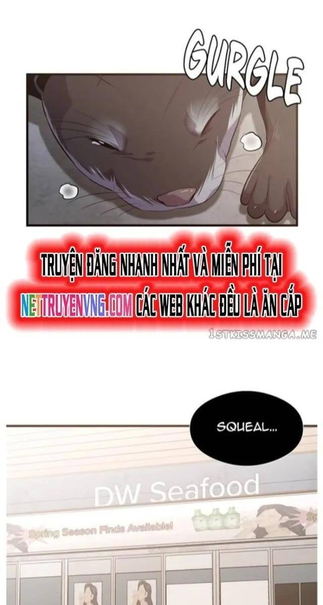 Hoá Thân Thành Cá - Page 40