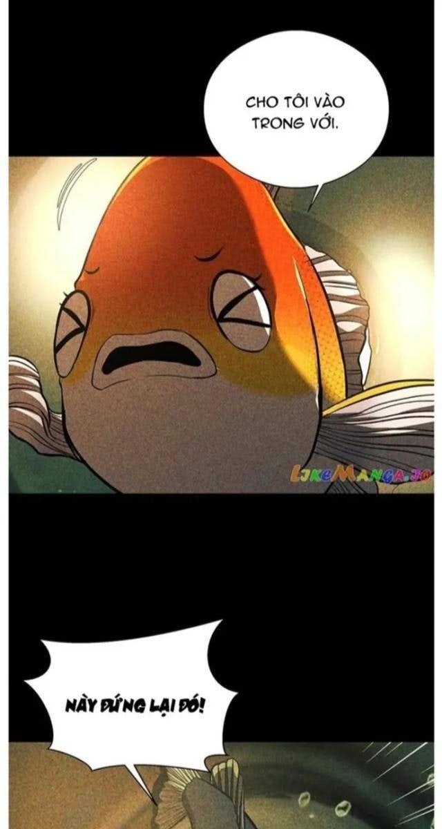 Hoá Thân Thành Cá - Page 55