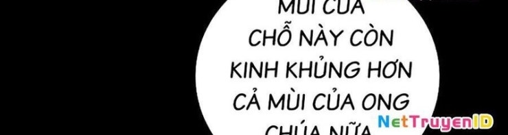 Sự Trở Lại Của Người Chơi Bị Đóng Băng - Page 11