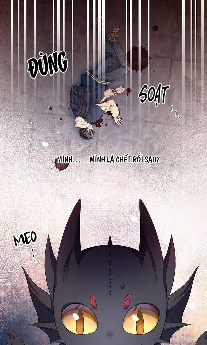 Tôi Trùng Sinh Trở Thành Tiểu Ác Long Của Vương Tử Điện Hạ - Page 25