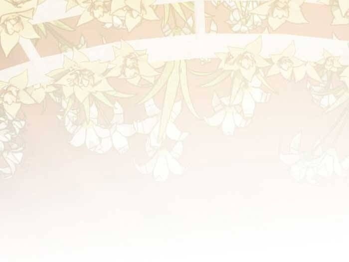 Nữ Tướng Xuyên Đến Hiện Đại Trở Thành Chị Dâu Quyền Lực - Page 65