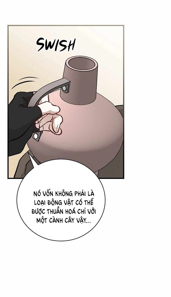 Level Up Chỉ Bằng Cách Ăn Cơm - Page 16