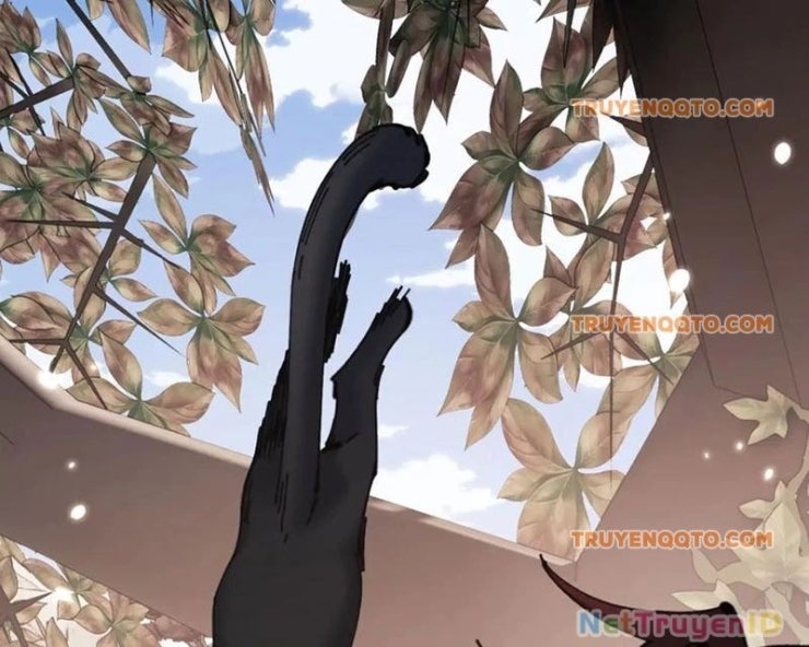 Sư Tôn: Nghịch Đồ Này Không Phải Là Thánh Tử - Page 85