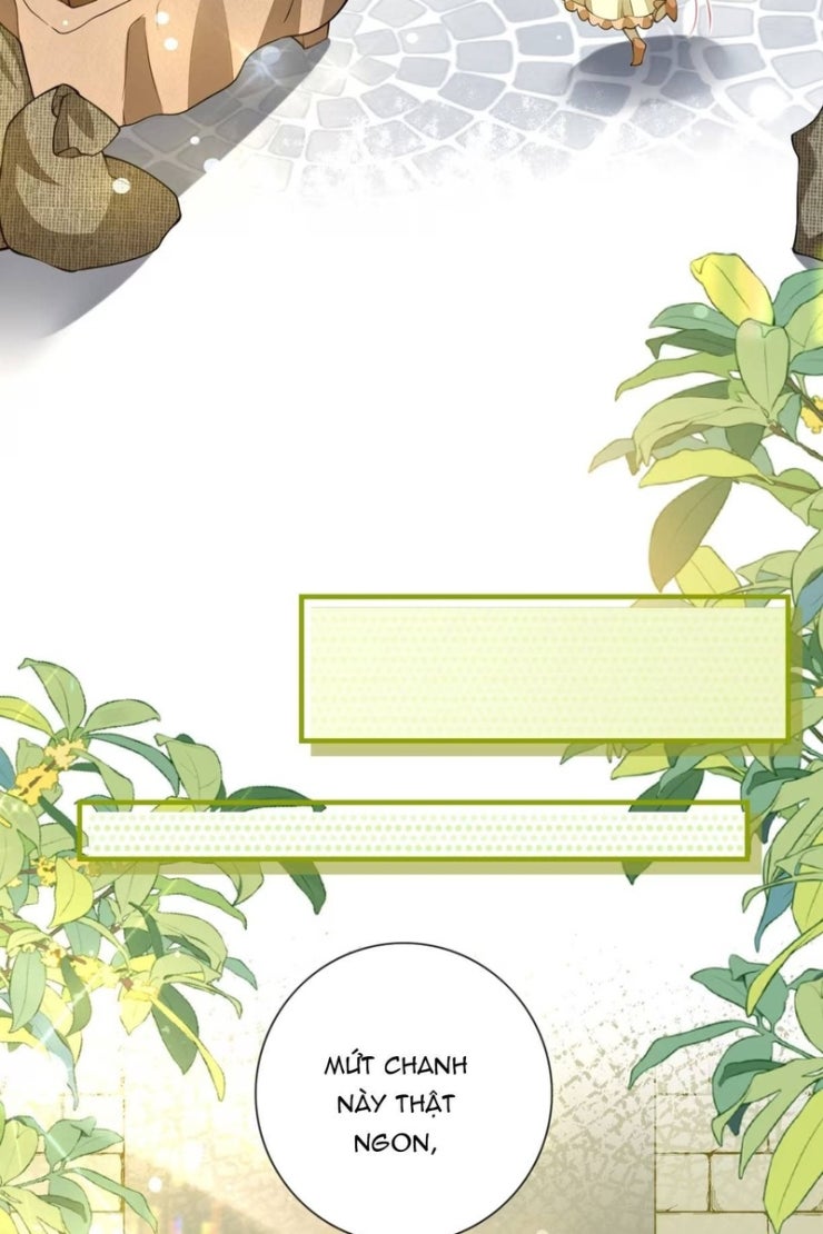 Nữ Hầu Gái Ác Ma Chỉ Muốn Bị Tiểu Thư Hành Hạ - Page 11