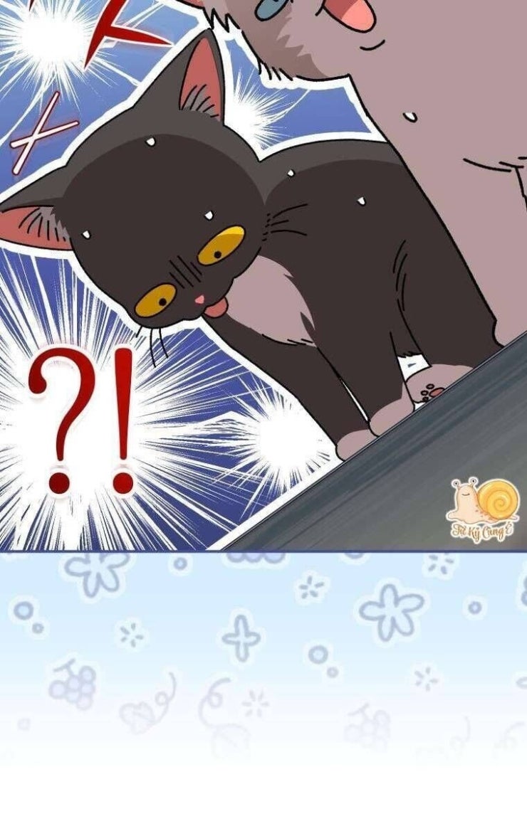 Tôi Trở Thành Mẹ Kế Của Gia Đình Hắc Ám - Page 47