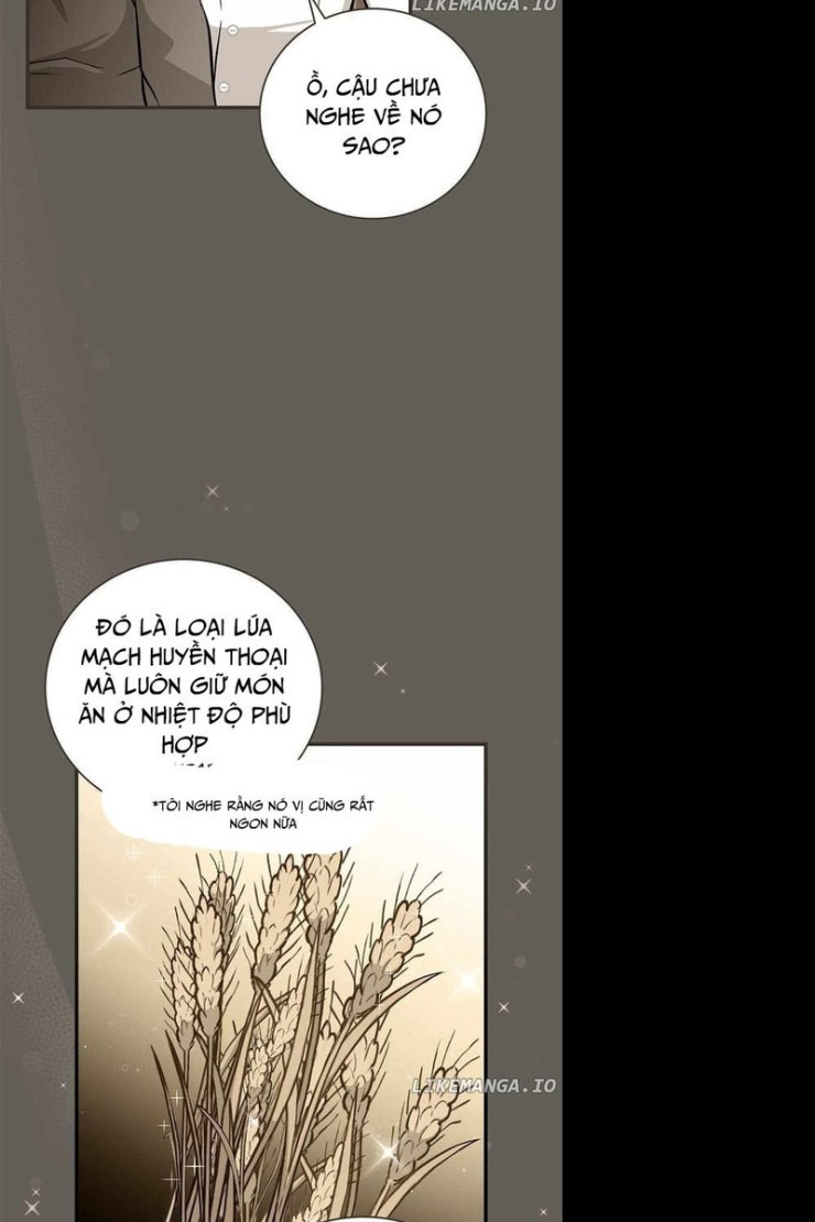 Level Up Chỉ Bằng Cách Ăn Cơm - Page 36