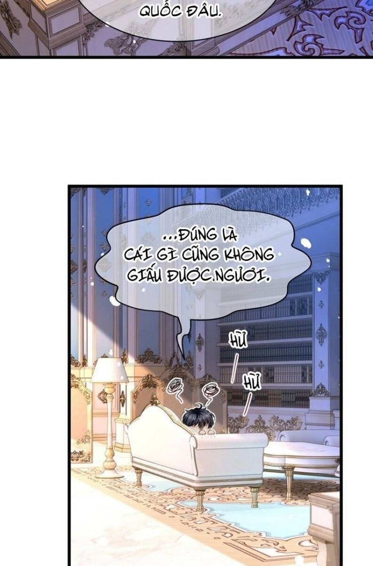 Tôi Trùng Sinh Trở Thành Tiểu Ác Long Của Vương Tử Điện Hạ - Page 4