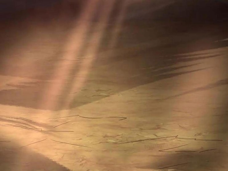 Tôi Có Thể Nuốt Chửng Vạn Vật - Page 50