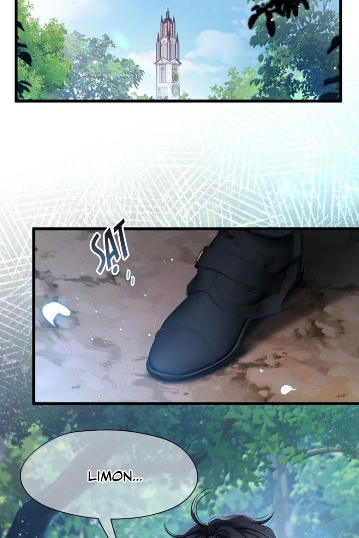 Tôi Trùng Sinh Trở Thành Tiểu Ác Long Của Vương Tử Điện Hạ - Page 18