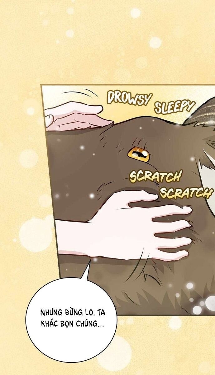 Level Up Chỉ Bằng Cách Ăn Cơm - Page 49