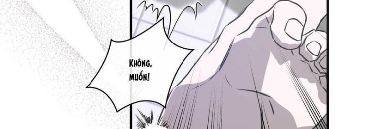 Sau Ánh Hào Quang - Page 19