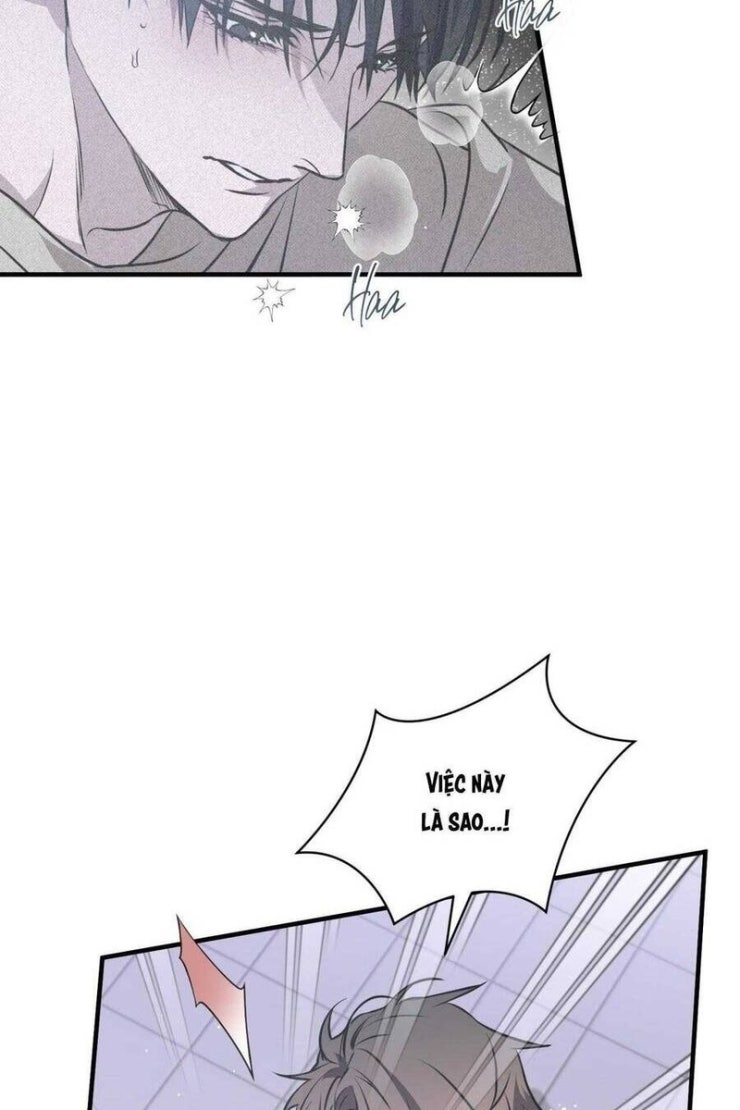 Sau Ánh Hào Quang - Page 8