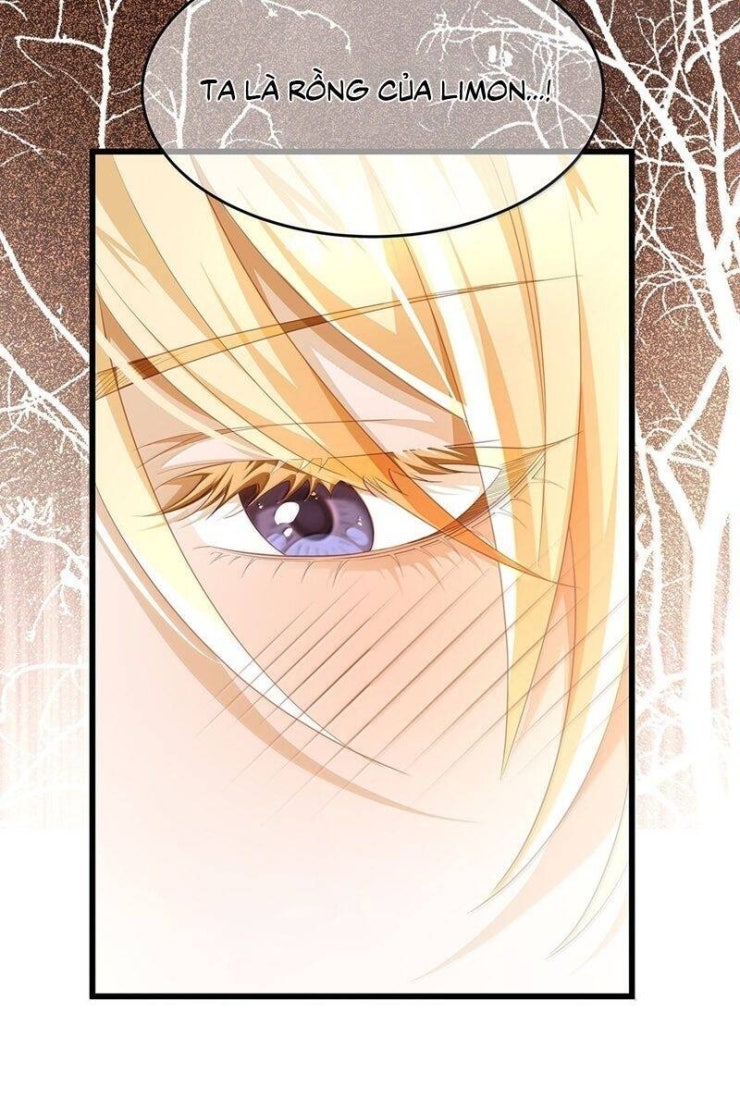 Tôi Trùng Sinh Trở Thành Tiểu Ác Long Của Vương Tử Điện Hạ - Page 11