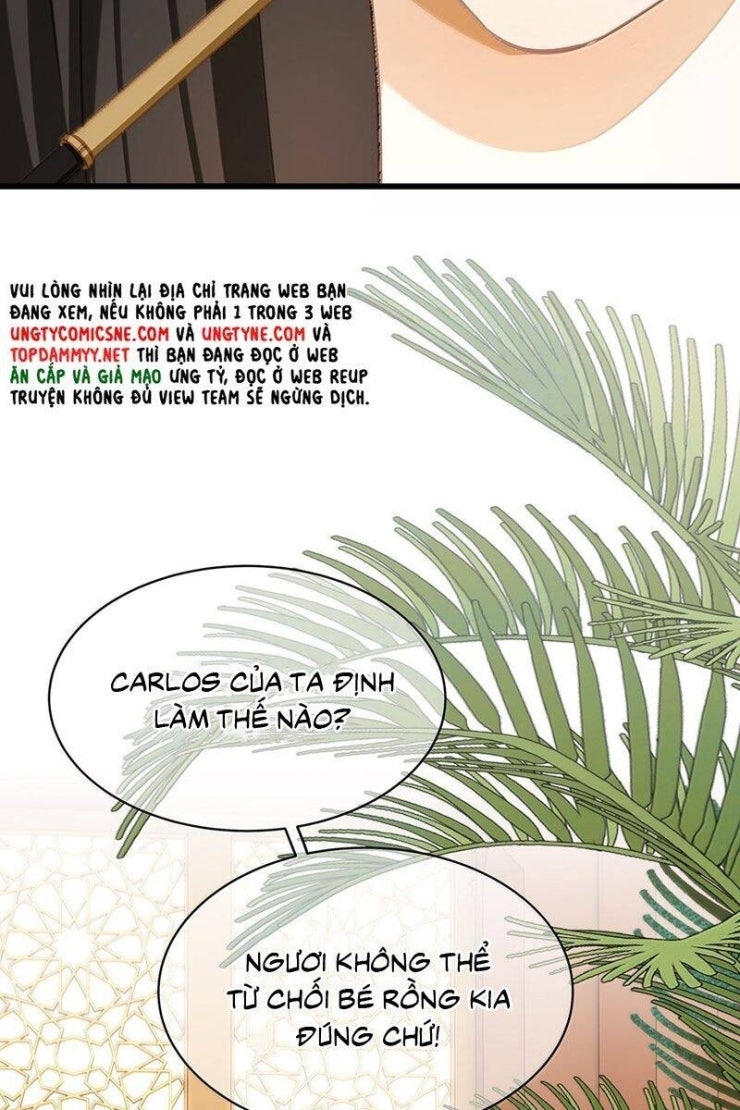 Tôi Trùng Sinh Trở Thành Tiểu Ác Long Của Vương Tử Điện Hạ - Page 39