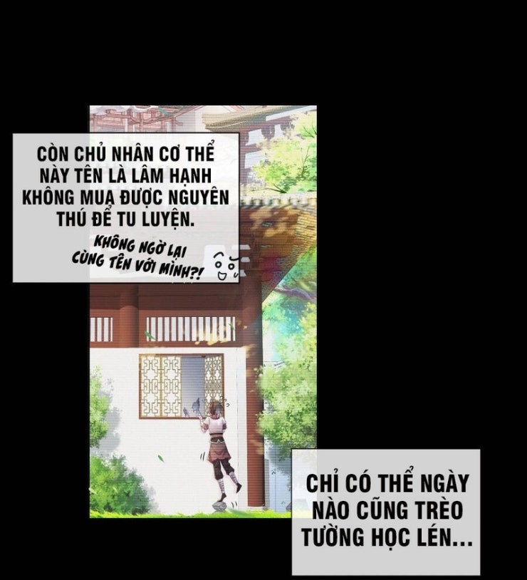 Tuyệt Sắc Đạo Lữ Đều Nói Ngô Hoàng Thể Chất Vô Địch - Page 19